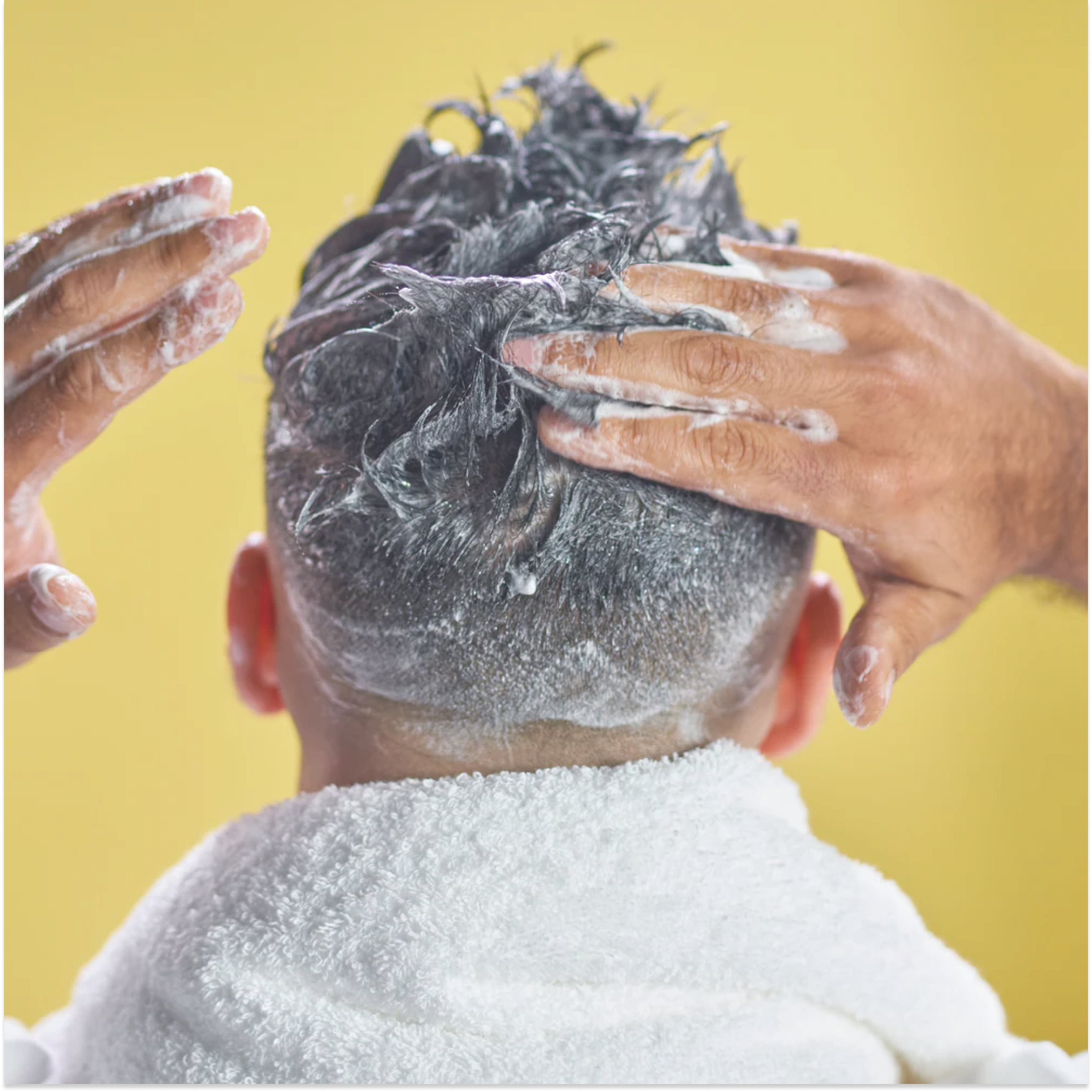 Šampon i regenerator