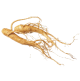 Panax Ginseng Root Extract