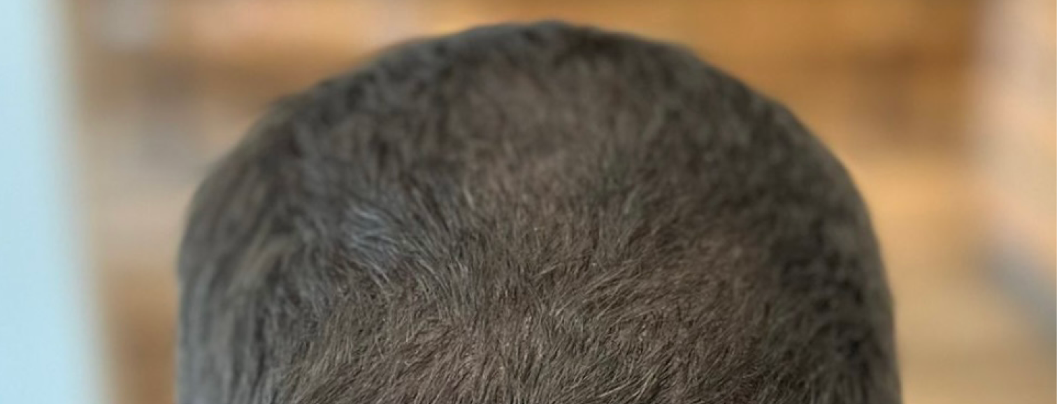 Mojave desert in the dark